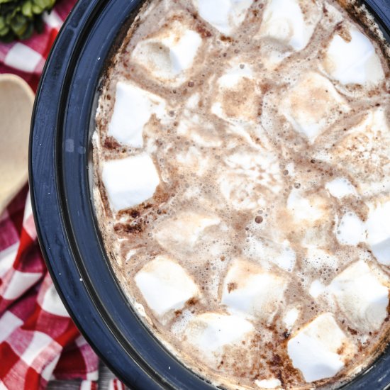 Crockpot Hot Chocolate