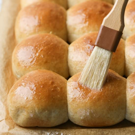 Overnight Honey Wheat Rolls