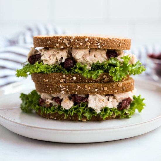 Turkey Salad with Cranberries