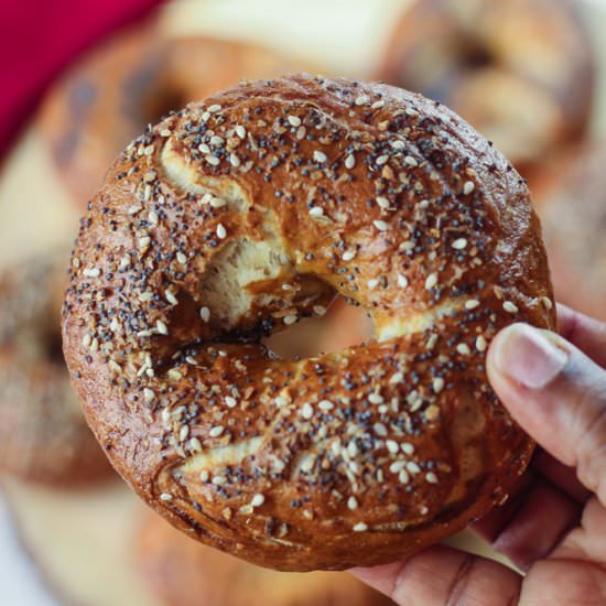 New York Bagels