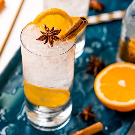 Orange Gin and Tonic