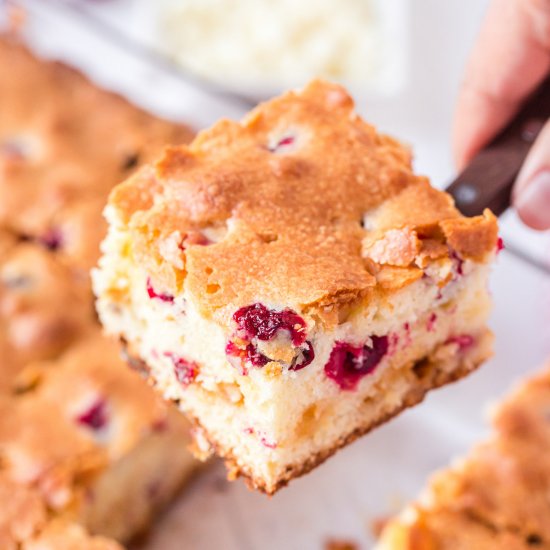 Cranberry Cake