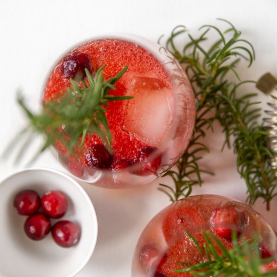 Cranberry and Bourbon Cocktail