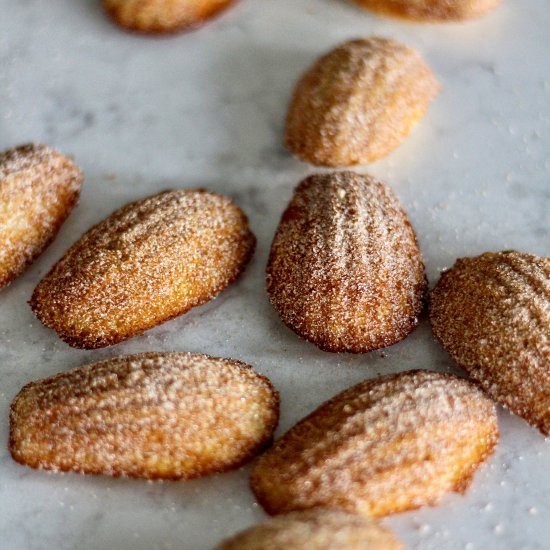 Apple Cider Madeleines