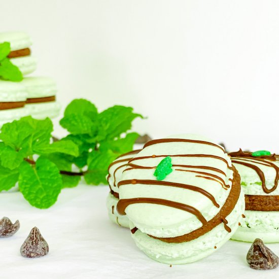 Peppermint Cocoa Macarons