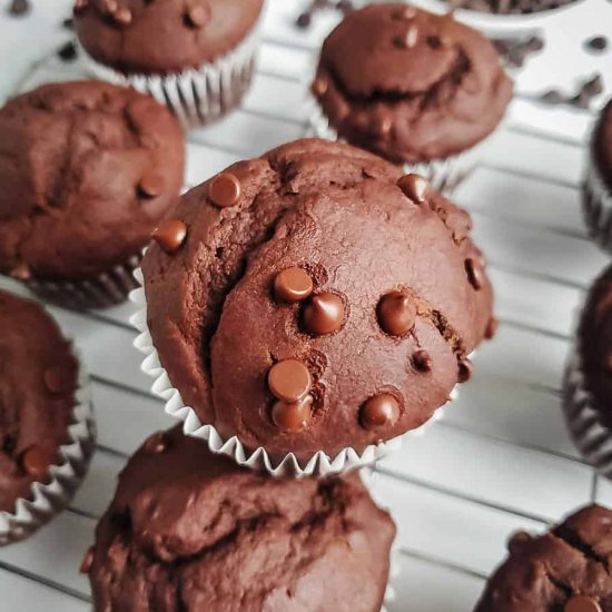 double chocolate muffins