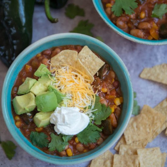 Hearty Southwestern Vegetarian Chil