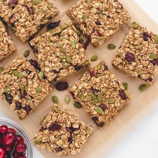 Orange Cranberry Oatmeal Bars