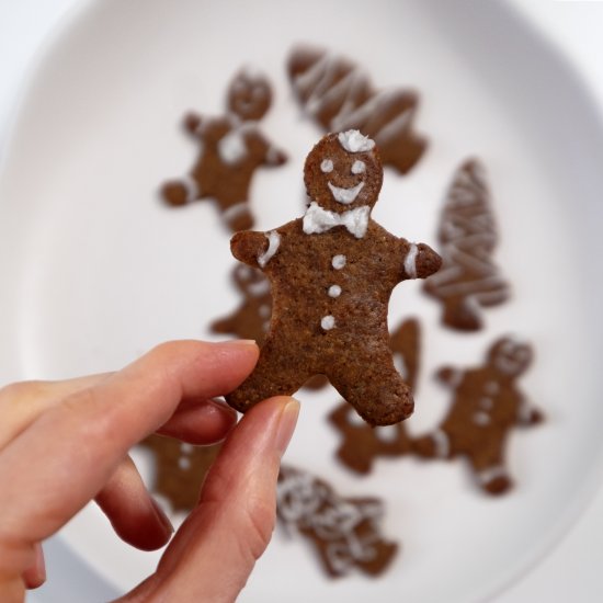 Vegan gluten-free gingerbread