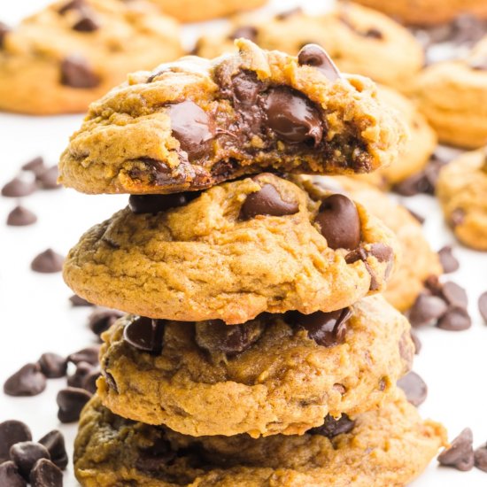 Molasses Chocolate Chip Cookies