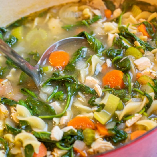 Turkey Spinach Noodle Soup