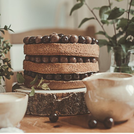 Chocolate naked cake