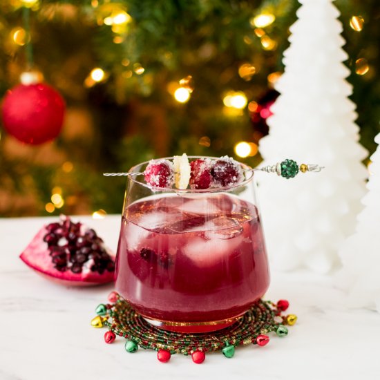 Holiday Champagne Punch