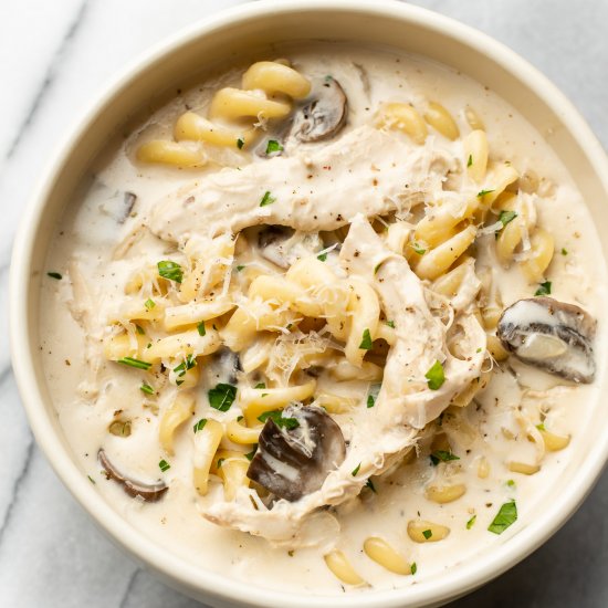 chicken tetrazzini soup