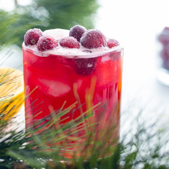 Cranberry Orange Mocktail