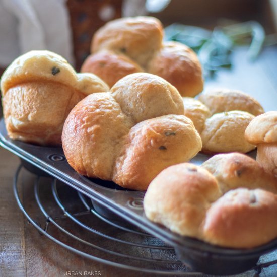 Buttermilk and Sage Dinner Rolls