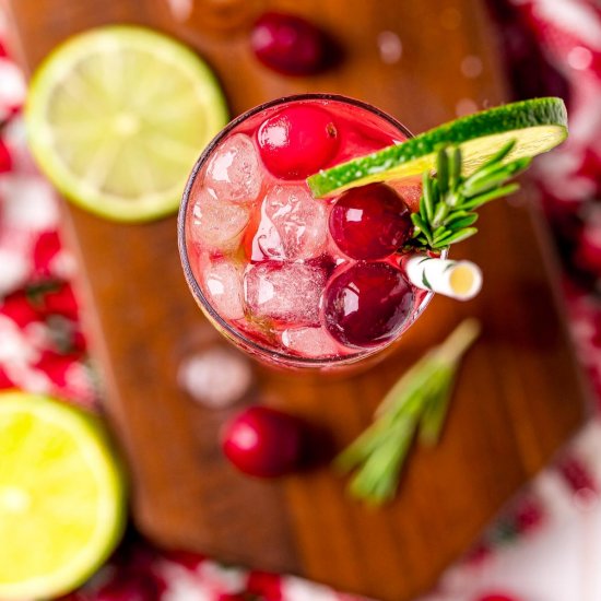 Cranberry Gin and Tonic