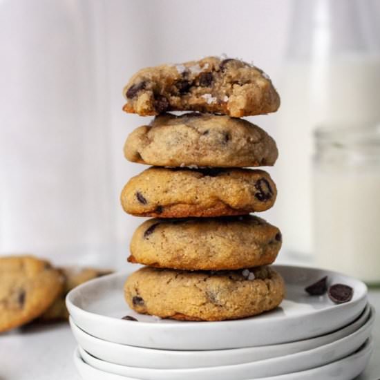 Best Paleo Chocolate Chip Cookies