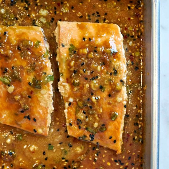 Miso Ginger Salmon