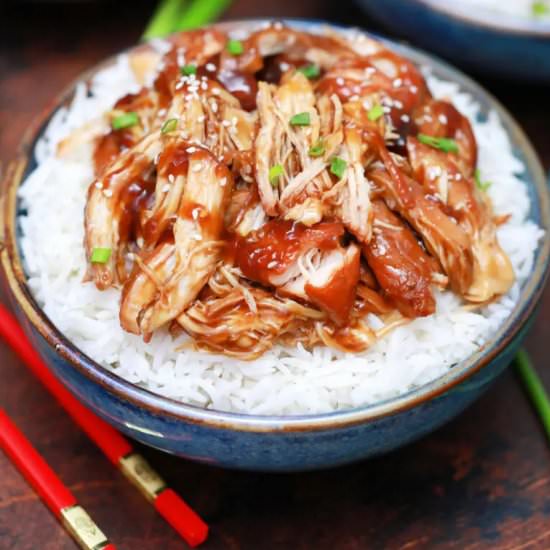 Slow Cooker Teriyaki Chicken