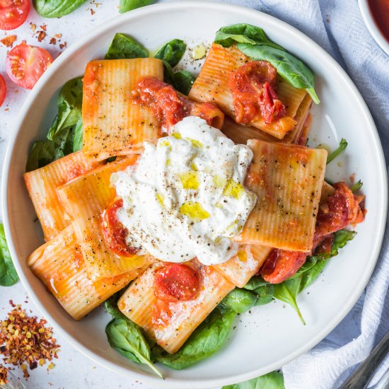 Tomato and Burrata Rigatoni