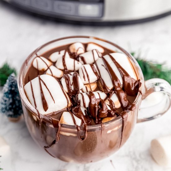 Slow Cooker Hot Chocolate