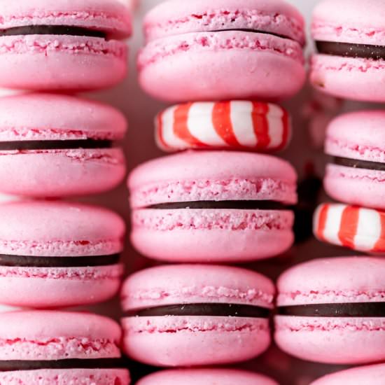 Dark Chocolate Peppermint Macarons