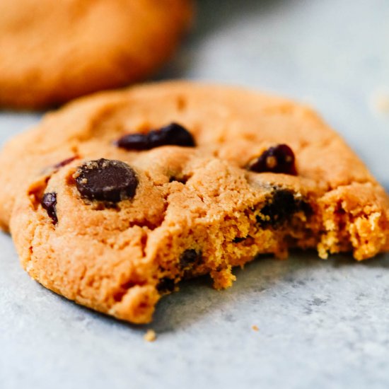 Cranberry Chocolate Chip Cookies