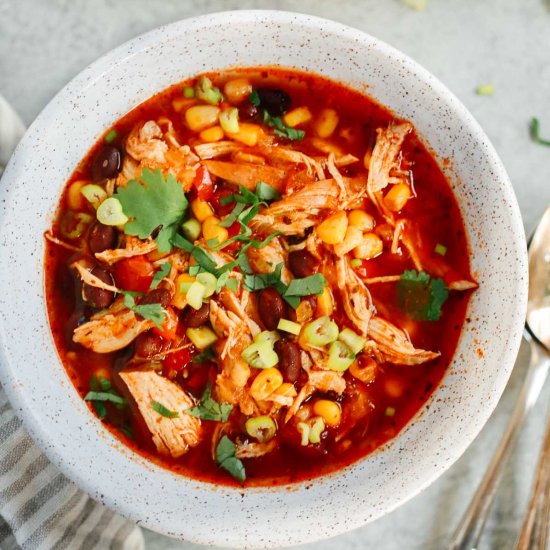 Instant Pot Southwest Chicken Soup