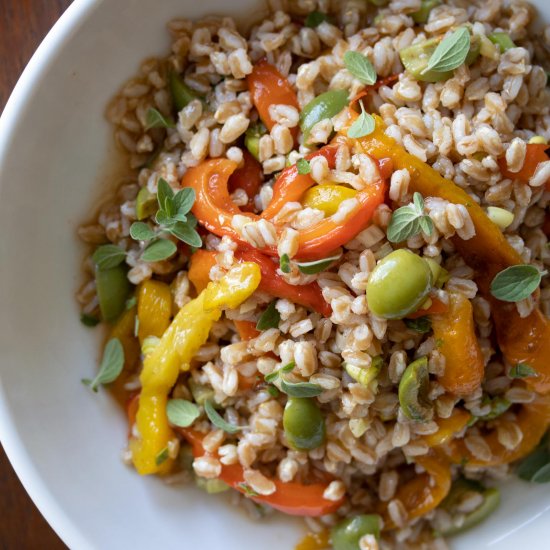 Roasted Bell Pepper w/Italian Farro