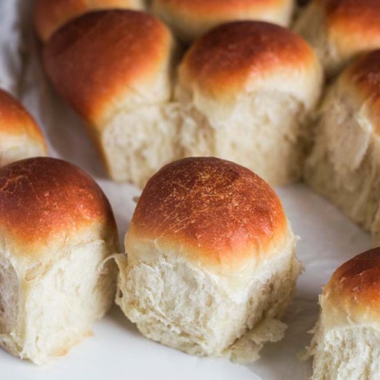 Sourdough Hokkaido Milk Bread