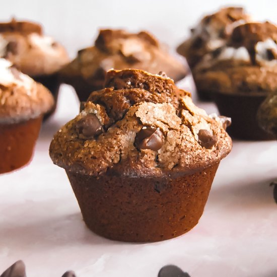 Double Chocolate Muffins