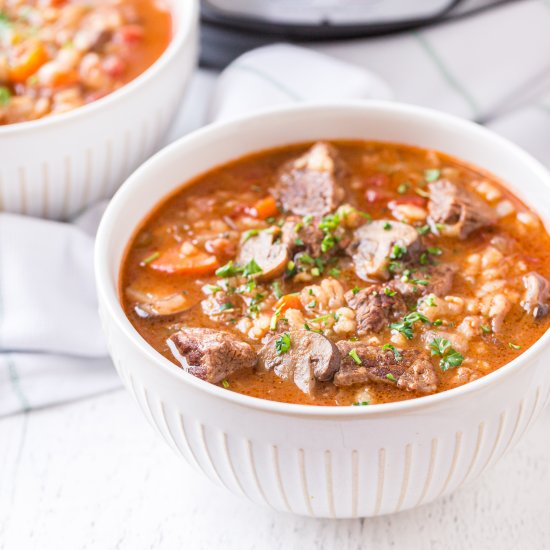 Instant Pot Beef Barley Soup