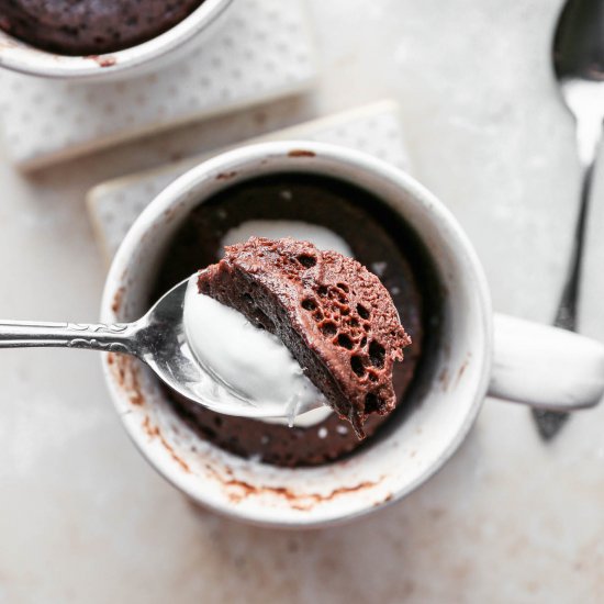 Low Carb GF Chocolate Mug Cake