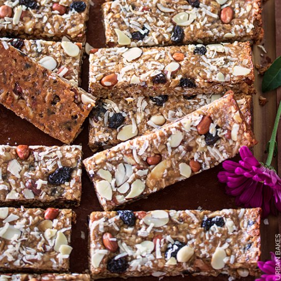 Coconut and Nut Energy Bars