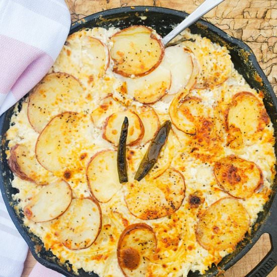 Serrano & Potato Gratin