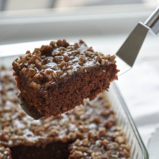 Chocolate Oatmeal Cake