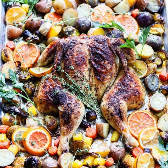 sheet pan spatchcock chicken