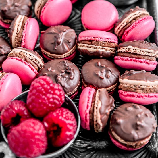 Chocolate raspberry macarons