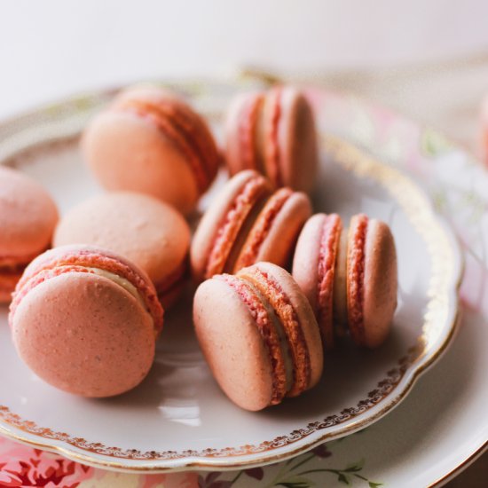 Strawberry Cheesecake Macarons