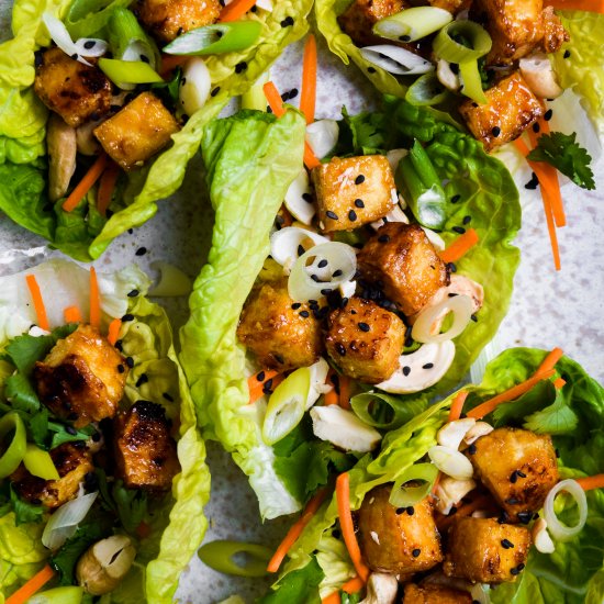 Teriyaki Tofu Lettuce Wraps