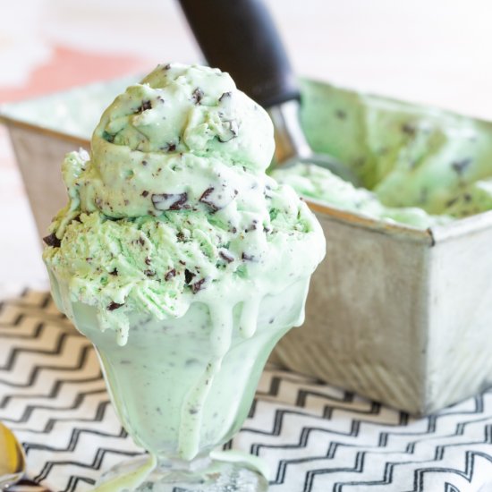 Mint Chocolate Chip Ice Cream