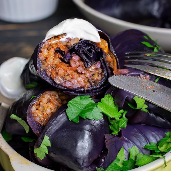 Stuffed Red Cabbage Rolls / Dolmas