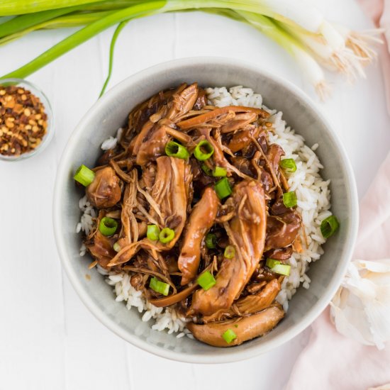 SLow Cooker Bourbon Chicken