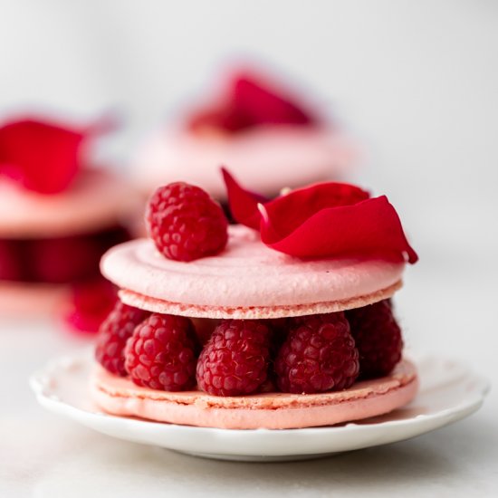 Ispahan Macarons