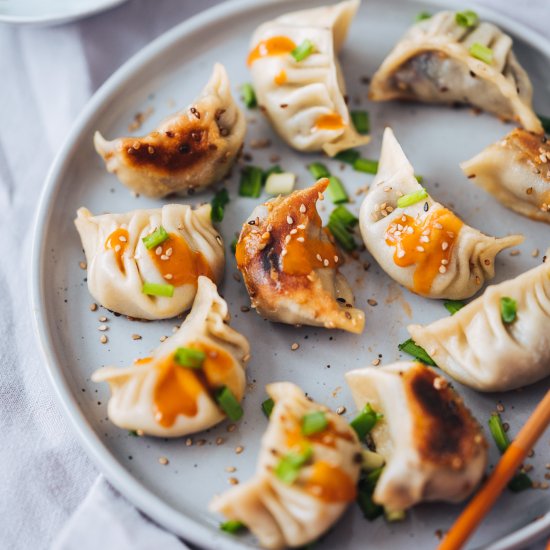 Vegetable Potstickers