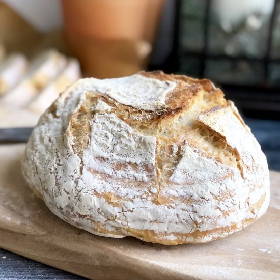 quick & easy no-knead artisan bread