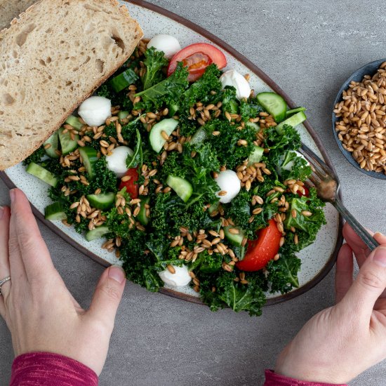 Sprouted Spelt Mediterranean salad