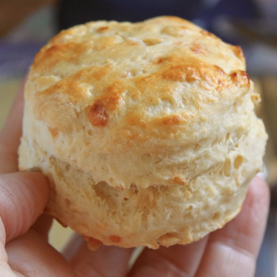 savory parsnip scones