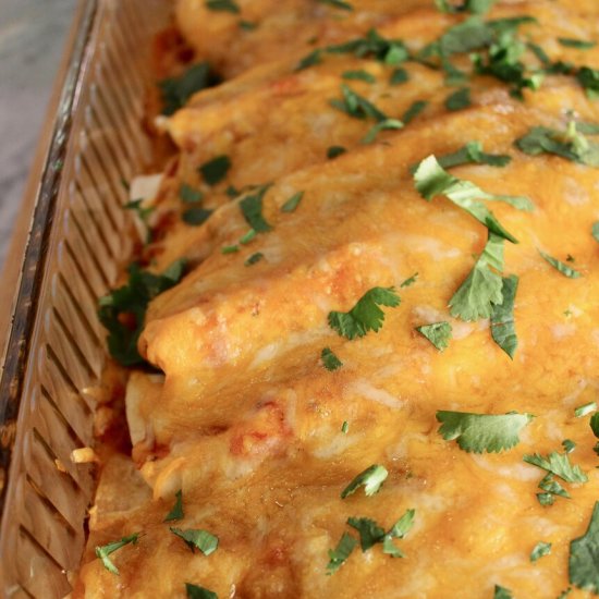 Low Carb Enchiladas